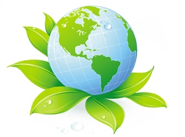 Итоги проведения муниципального этапа XV Всероссийского детского экологического форума «Зеленая планета»